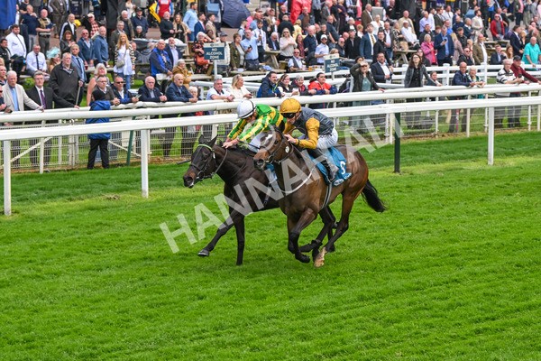 150524-Race 6-Shadow Army-4577 - Race 6 4.45pm British Stallion Studs EBF Novice Stakes