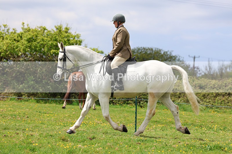 3E7A1216 - Class 7: Ridden Hunter Type