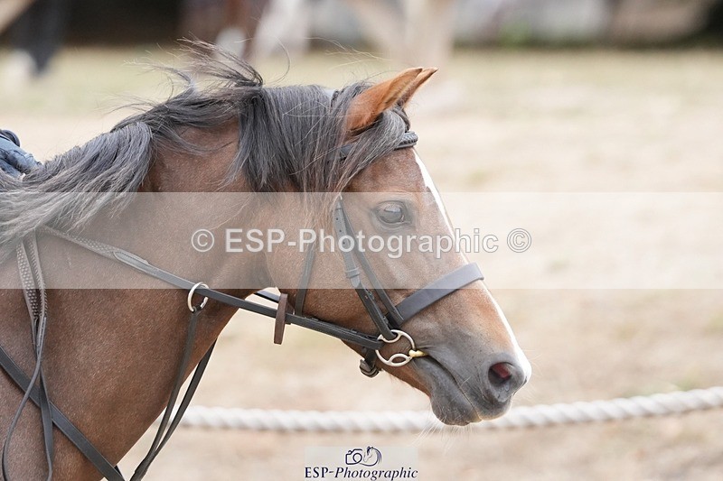 250820A-120409-06205 - Round 2, 11.45 to 12.30 End