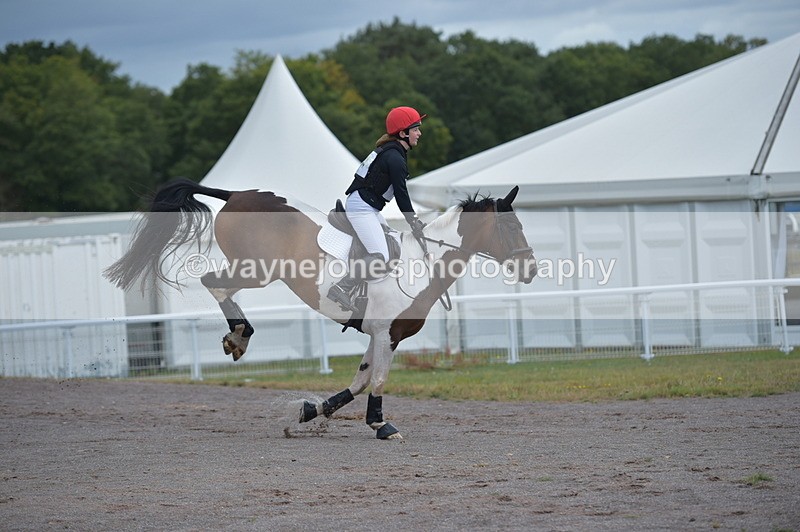 NGP_2144 - XC Time 11:20 to 11:36