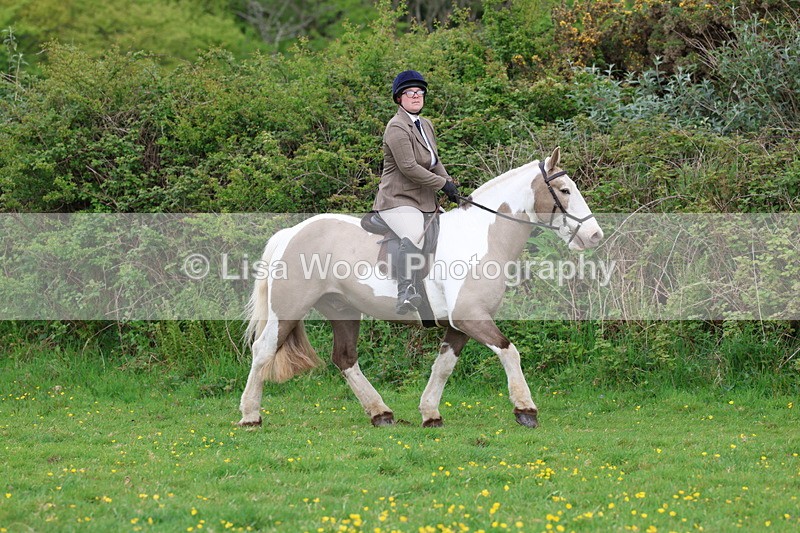 3E7A1422 - Class 8: Ridden Veteran Junoir and Senior