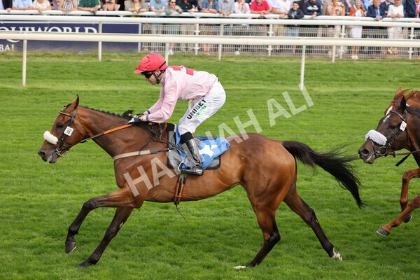 yr18082021r5-59 - Race 5 4.10pm Sky Bet Stakes