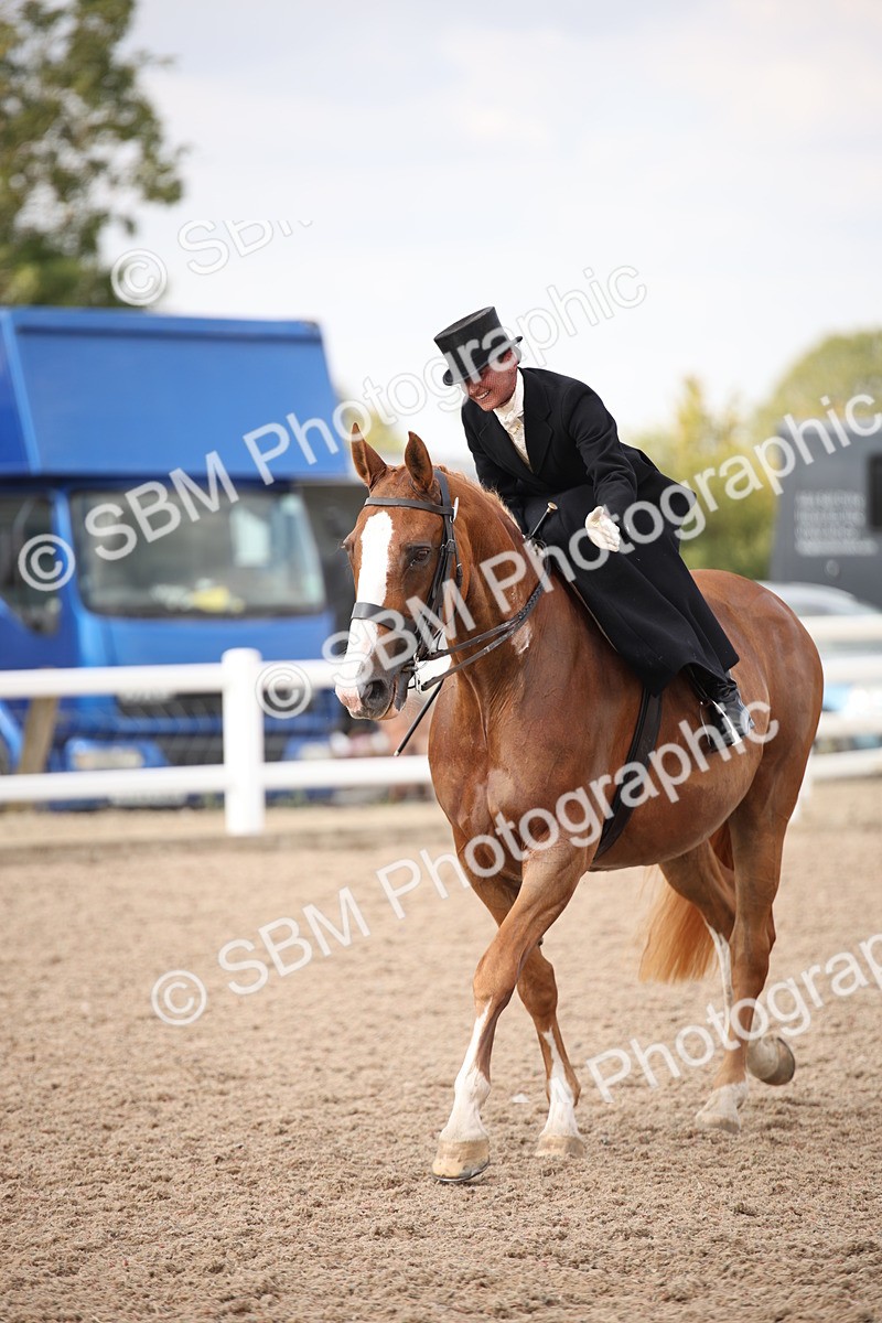 SBM_06775 - Class 24 Concours d'elegance