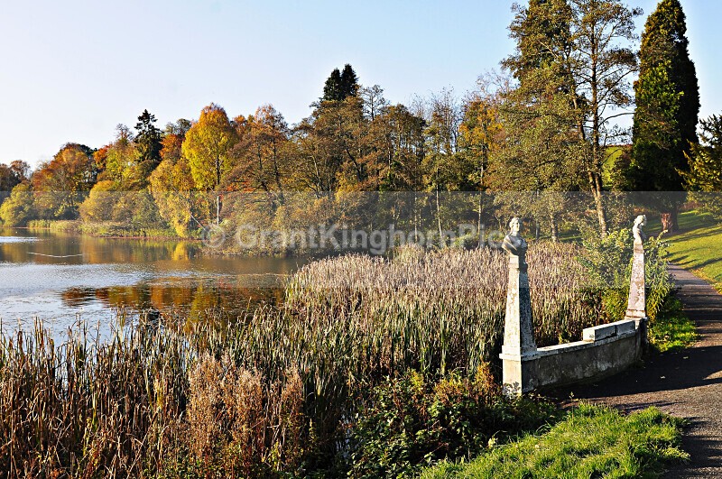 12 - Autumn around Selkirk