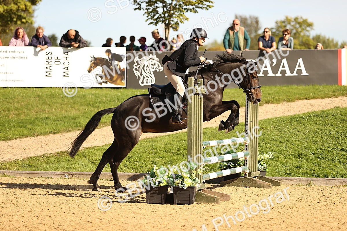 SBM_38150 - J39 - Senior 85cm Championship