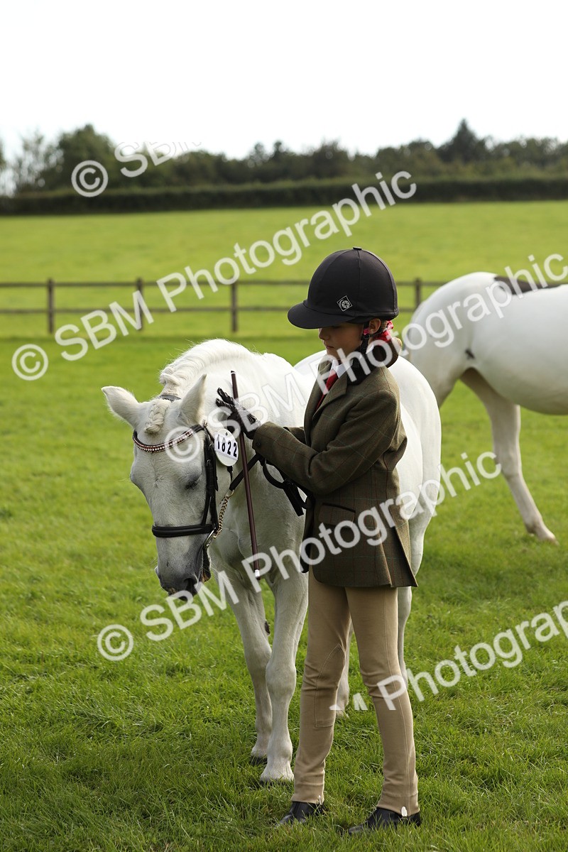 SBM_68716 - S40 - Junior Handler 9-12 Years
