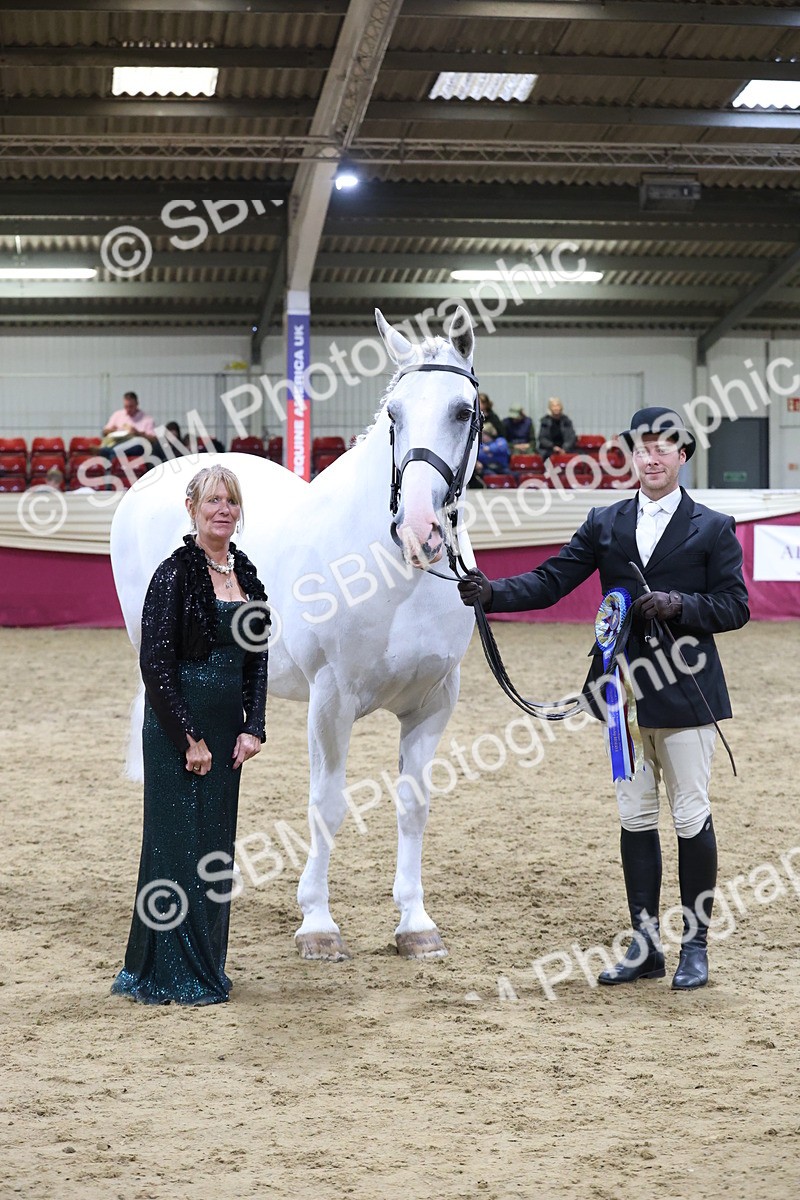SBM_20544 - Class G - IH Large (over 148cm)Champ