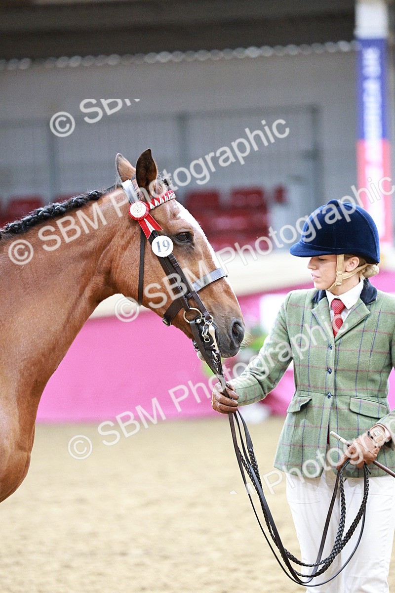 SBM_01194 - Class 3A - Area IH Pre-Vet