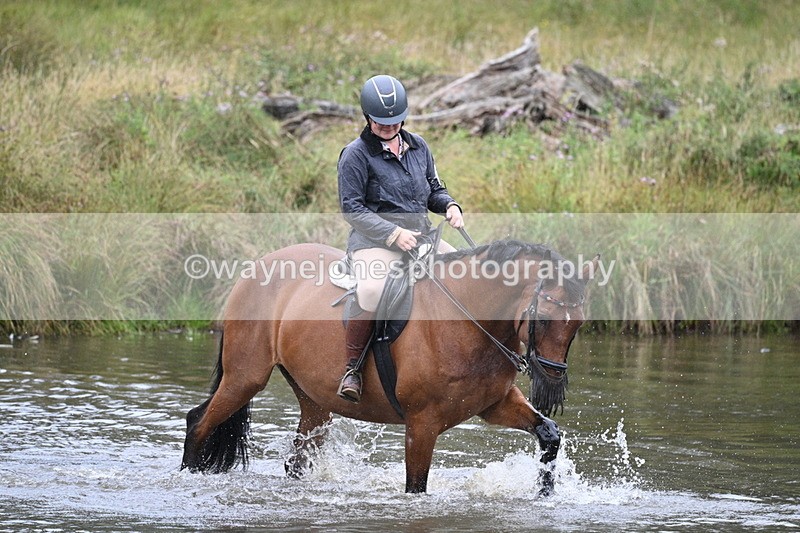 WJ7_7707 - Time at Water 10:28 to 11:05