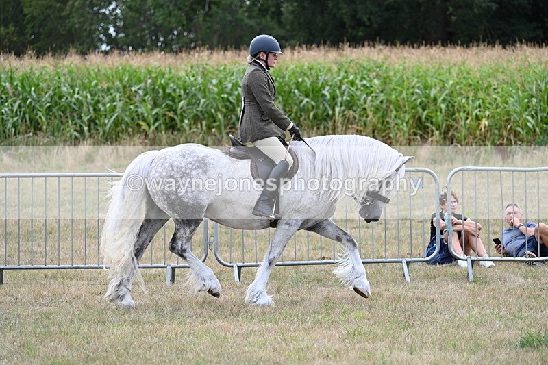 WJ7_5273 - Class 12 Ridden Cob