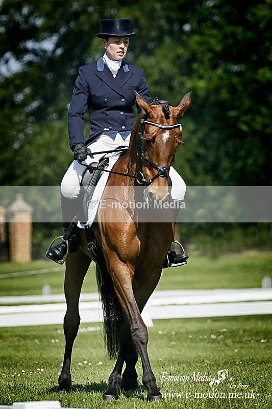 HT 240518_253a - Equestrian