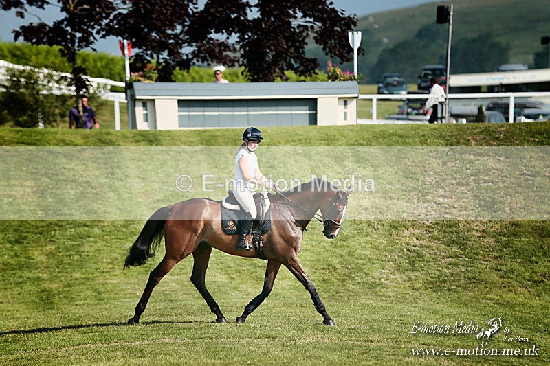 _LES4227a - Equestrian