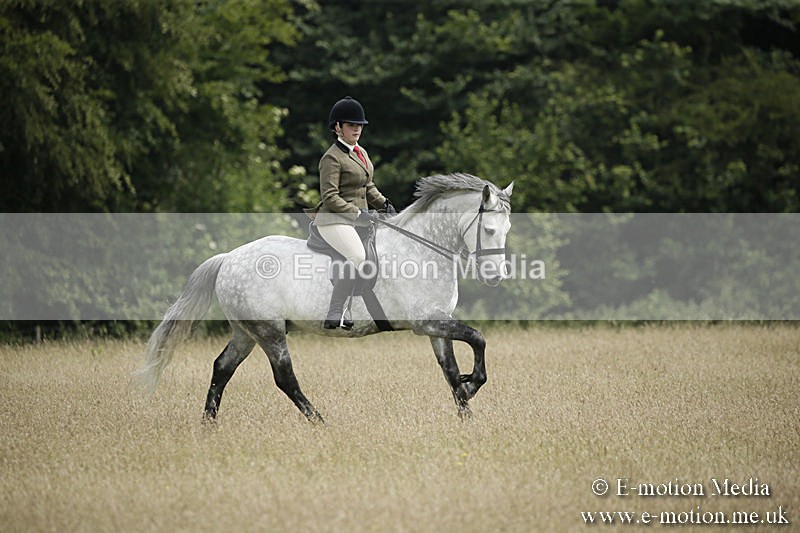 B230619-0466 - Bourne Valley Riding Club Summer Show 23/06/19