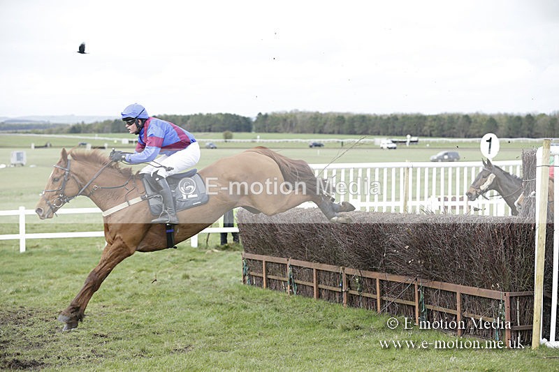 PtP 150320 0672 - New Forest Point-to-Point Larkhill 15/03/20