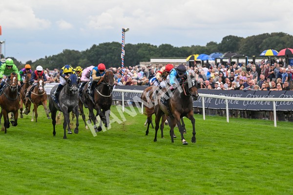 220825-Race 4-Asfoora-7516 - Race 4 3.35pm Coolmore Wootton Bassett Nunthorpe Stakes