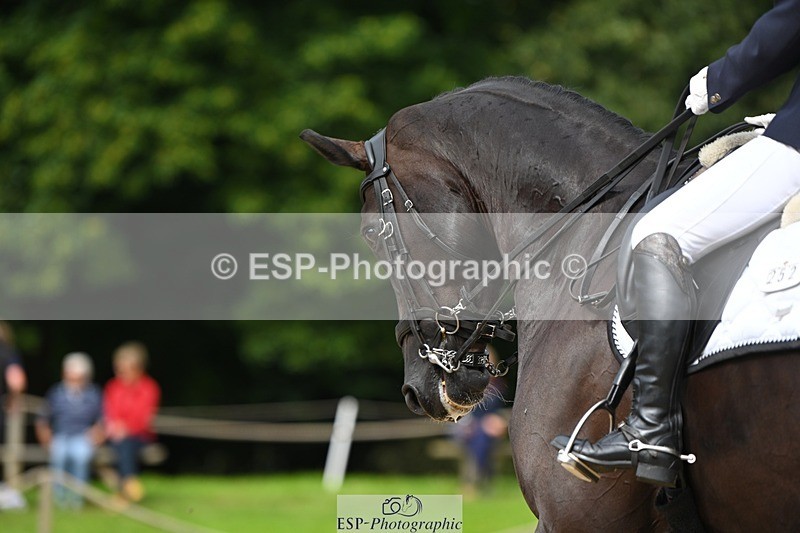 230813-105926-06489 - Cls 12 Elem Silver 10.35 to End