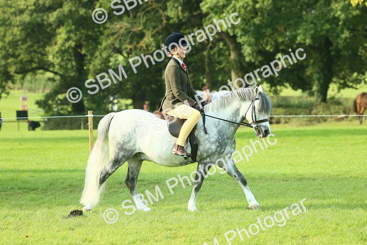 SBM_59320 - S38 - Starters Ridden Showing