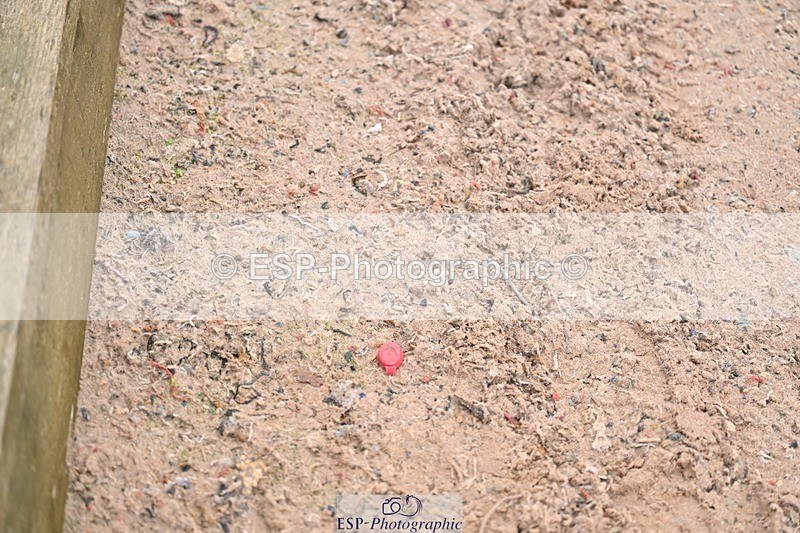 251029-122142-00474 - Newcomers and 1.10m