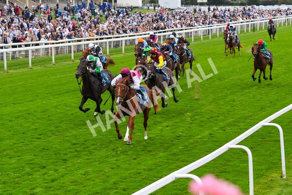 230823-Race 7-Zoulu Chief-0957 - Race 7 5.20pm Sky Bet Nursery Handicap