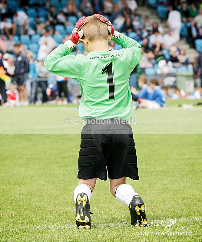 Pitch-7 - Pitch Action