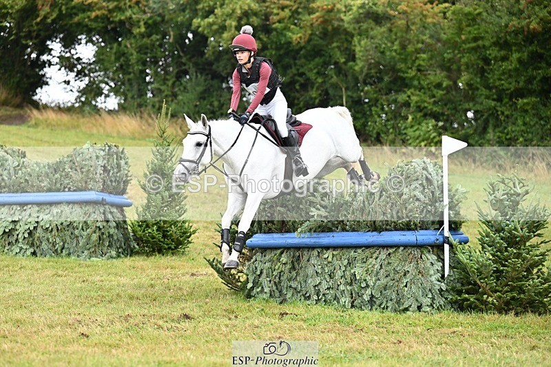 TS_b1370624 - SAT BE 90 Recovered Files fence 8