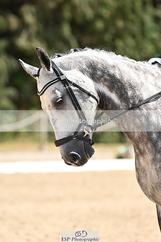 250808A-145333-01023 - 145-Sara-Jane.LanningSilvers.Cassandro