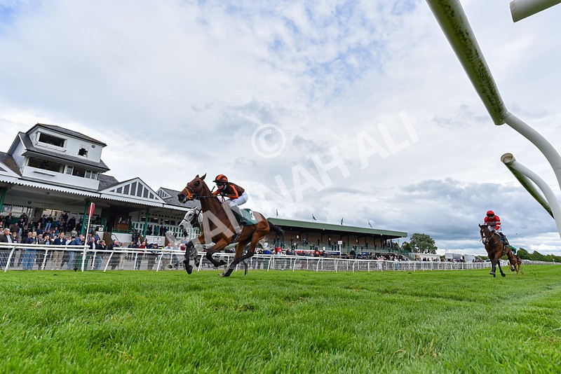 210526-Race 4-Analogical-8256 - Race 4 15.40pm Get Raceday Ready Handicap