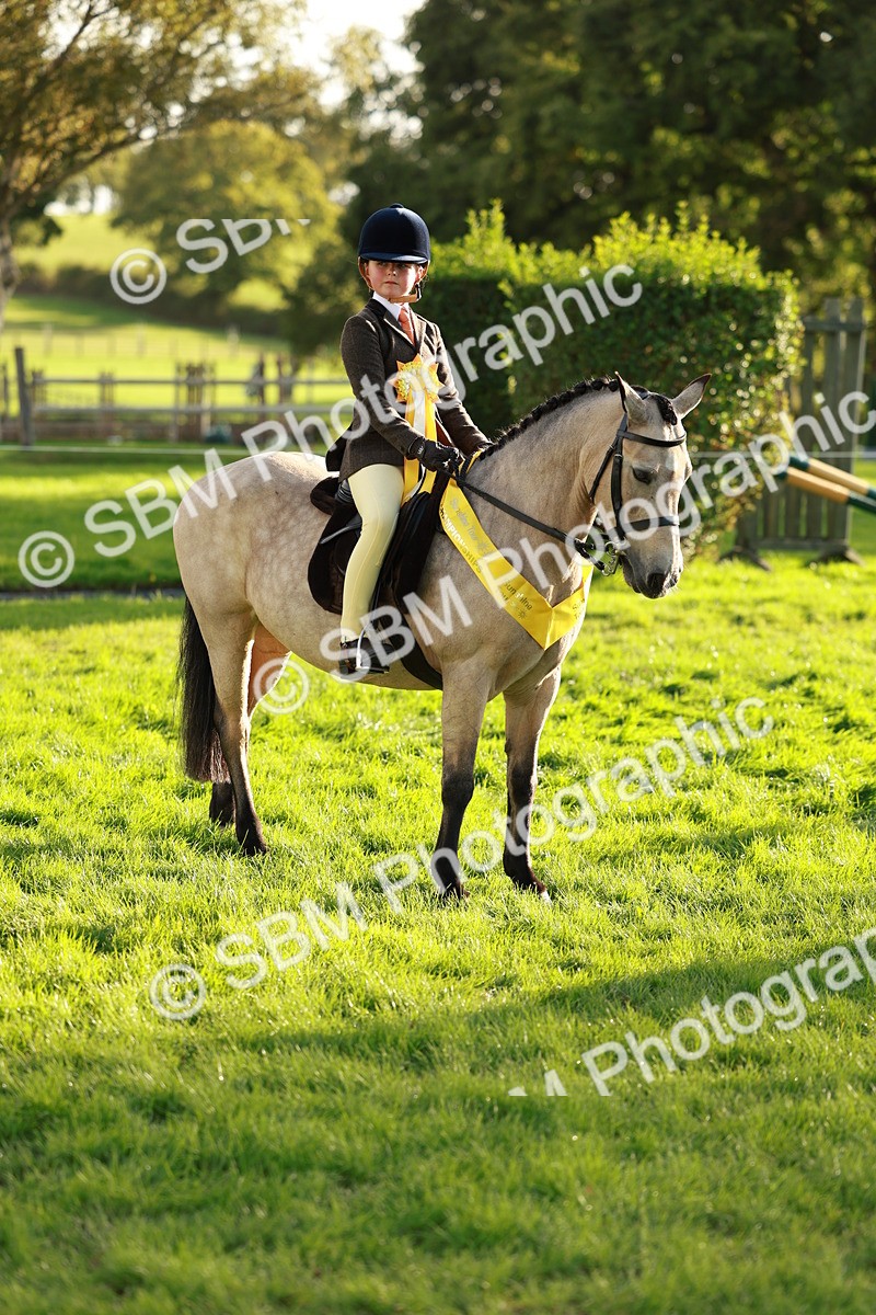 SBM_29294 - Novice & newcomer Supreme Championship