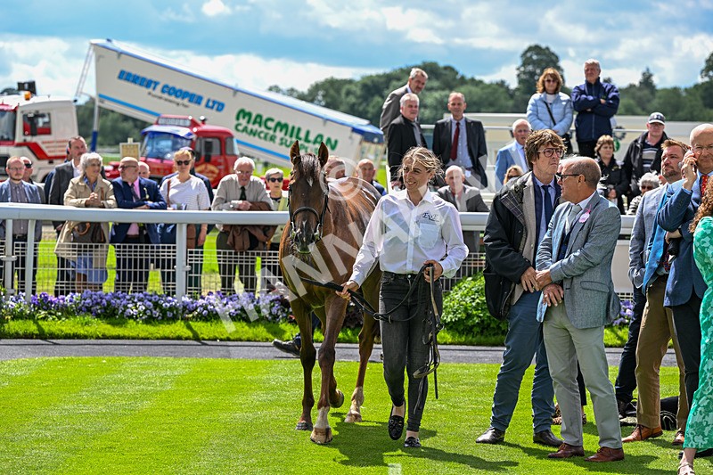 120626-Race 2-Everatease-7139 - Race 2 14.25pm Constant Security Keeping York Racegoers Safe Rous Selling Stakes