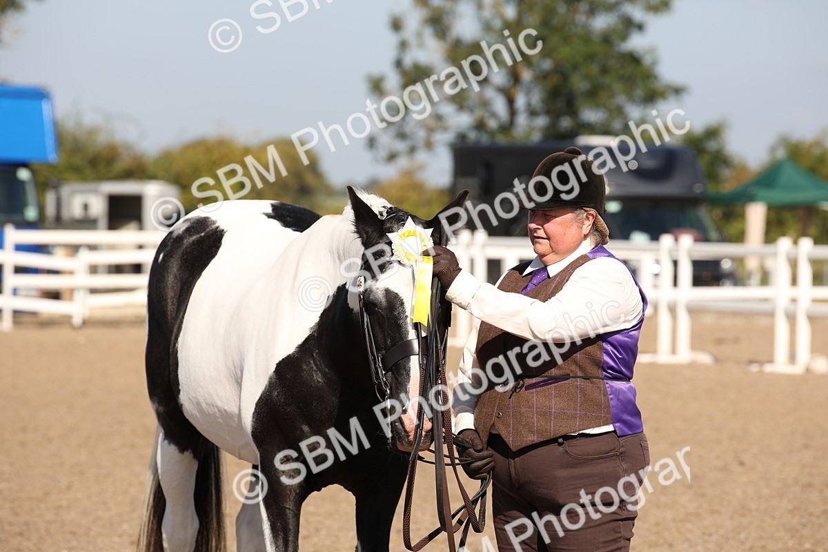 SBM_01574 - Class 15 IH Coloured