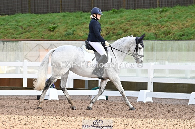 240218A-091715-04703 - 147-Tammie.Wells-Silver.moonshine