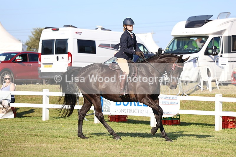 3E7A5309 - Class 2: Rising Star Large Hack/Riding Horse
