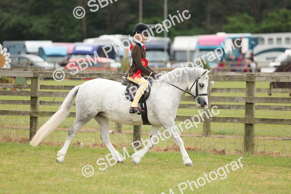 SBM_06926 - Class 74-75 - M&M Lead Rein and First Ridden Pony