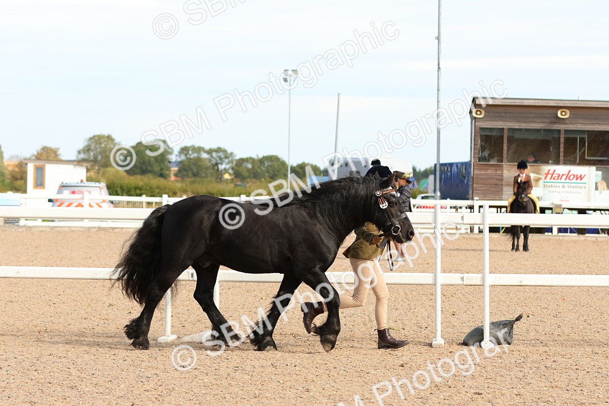 SBM_17988 - Class 707 - IH Groom - Helpers Glass
