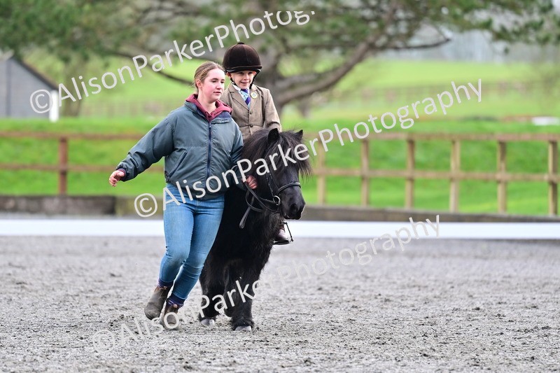 20260125-1008 - Class 9a - Walk Trot Assisted