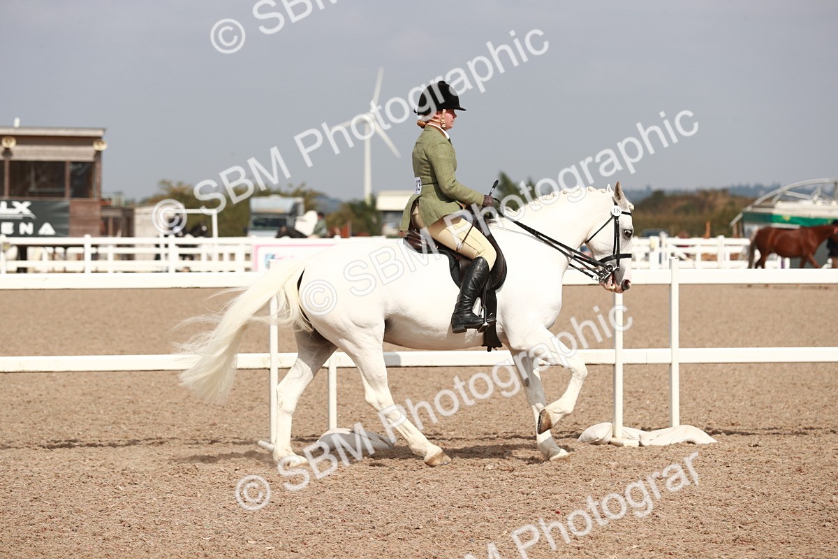 SBM_14828 - Class 212 Ridden Hunter - Small