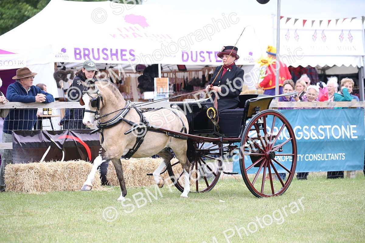 SBM_05937 - Class 12-15 - HOYS Private Driving
