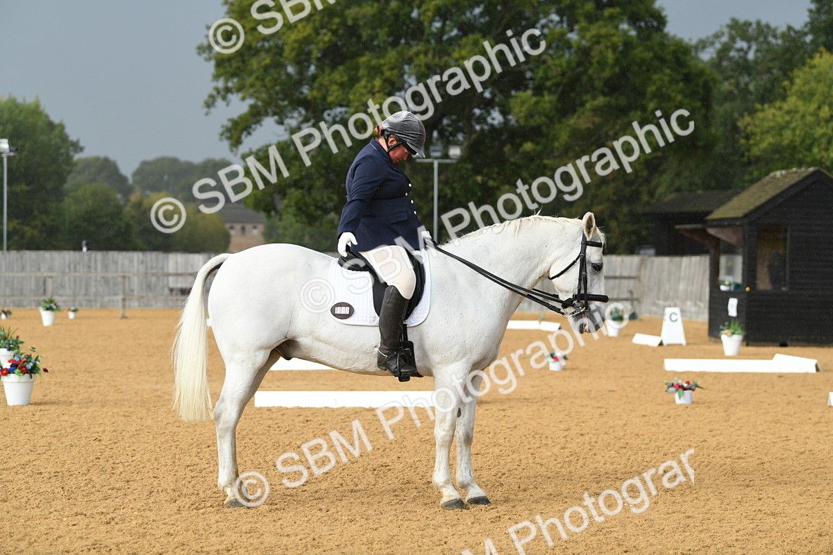 SBM_11141 - D28 Elementary Taster Elementary 42