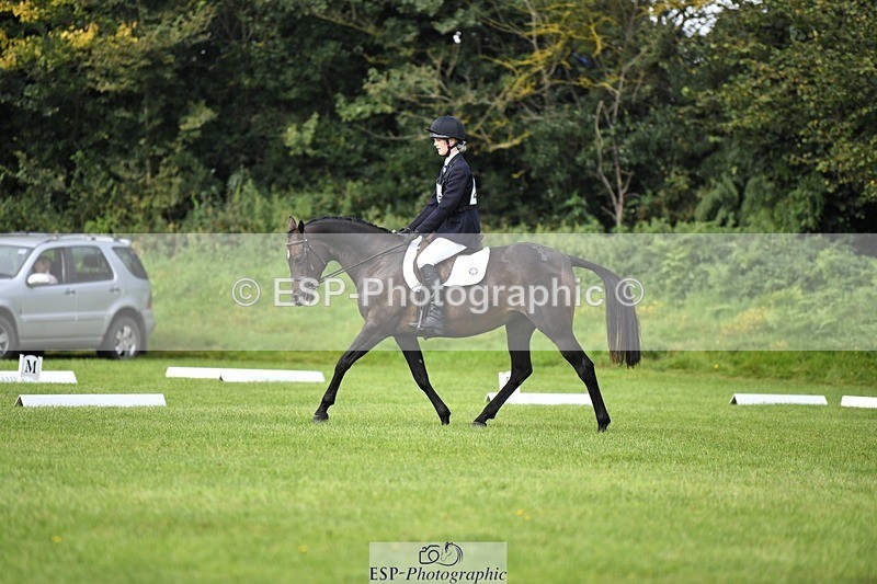 230826-103744-15541 - Sections C & D 10 to End