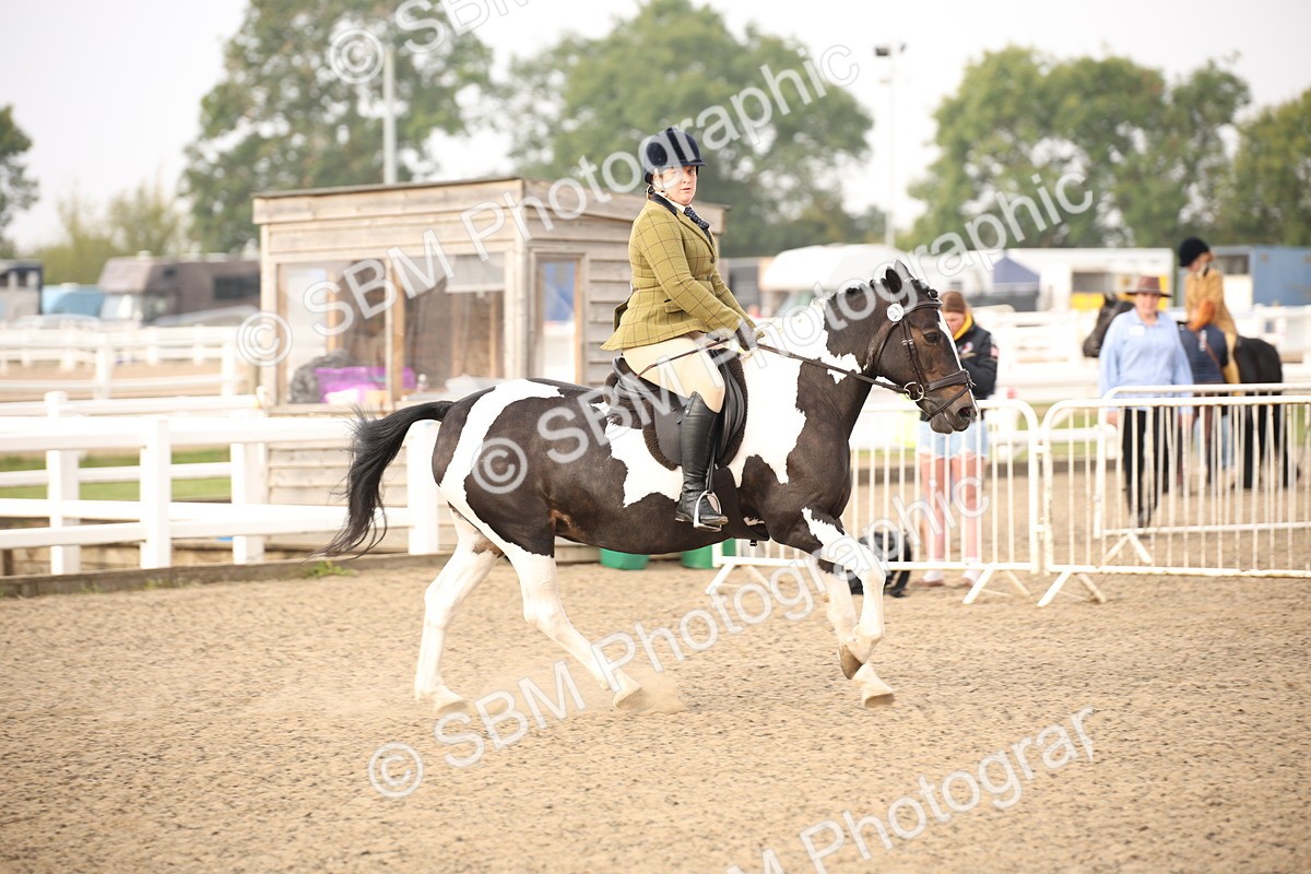 SBM_09750 - Class 401 Riding Club Pony