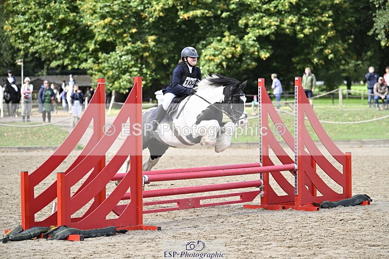 251005A-121504-03686 - Cls 08 Mini 70-75cm