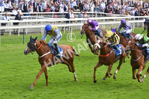 yr10072021r3-28 - Race 3: 2.55pm John Smith's Stayers Stakes