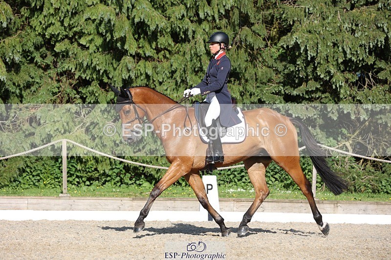 230526-175214-08047 - 182-HARTHILL_FLAMENCO-Izzy_Taylor-WEDTrotUp+DR