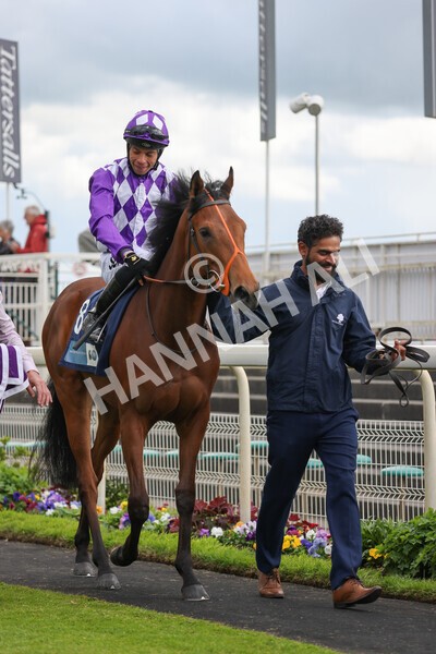 yr11052022r7-3 - Race 7 5.15pm British Stallion Studs EBF Novice Stakes