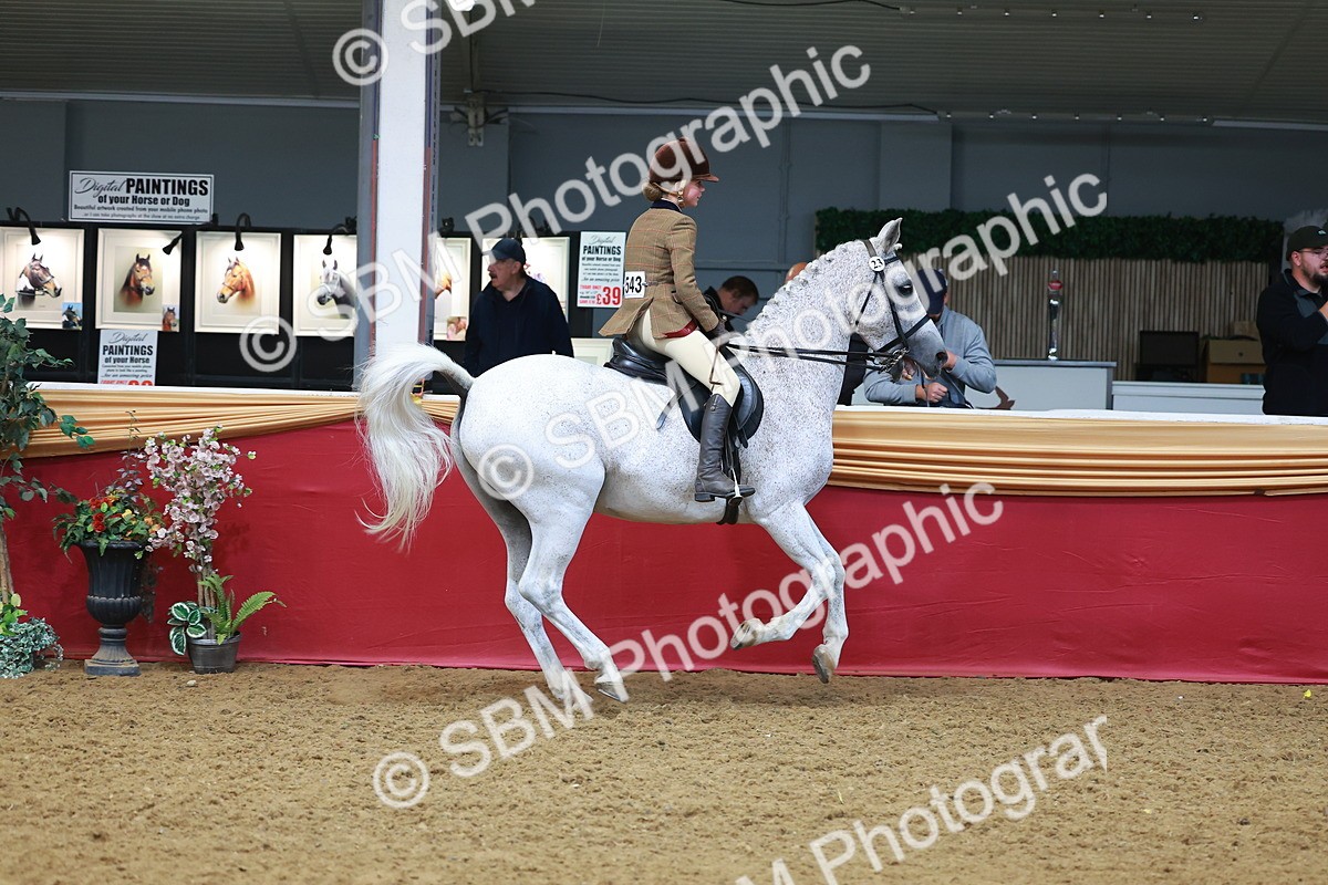 SBM_09900 - Class 102 - HOYS Veteran Qualifier - Ridden Veteran
