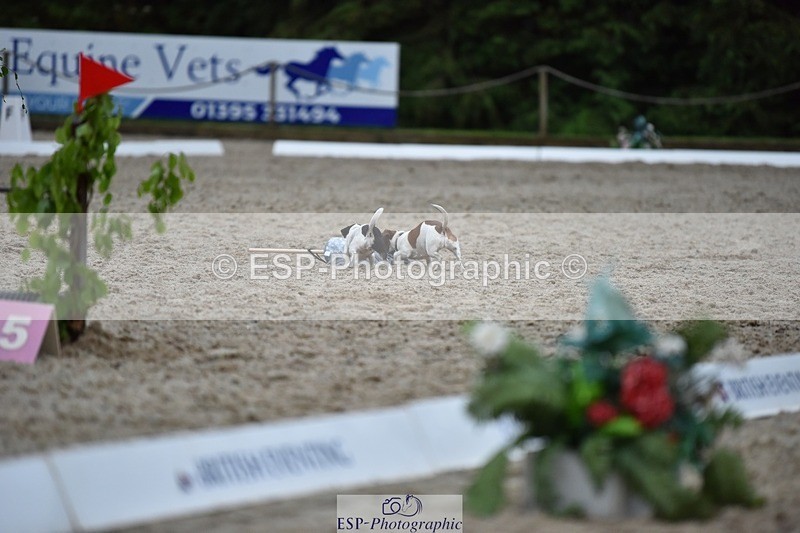 240523-202658-06889 - Hobby Horse Comp