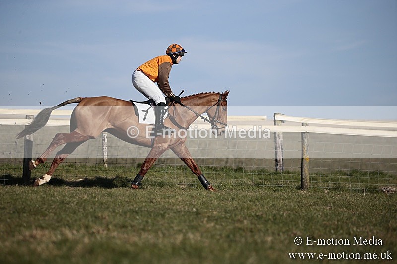 PtP 240218 476 - Vine & Craven Hunt Point-to-Point Barbury racecourse 24/02/18