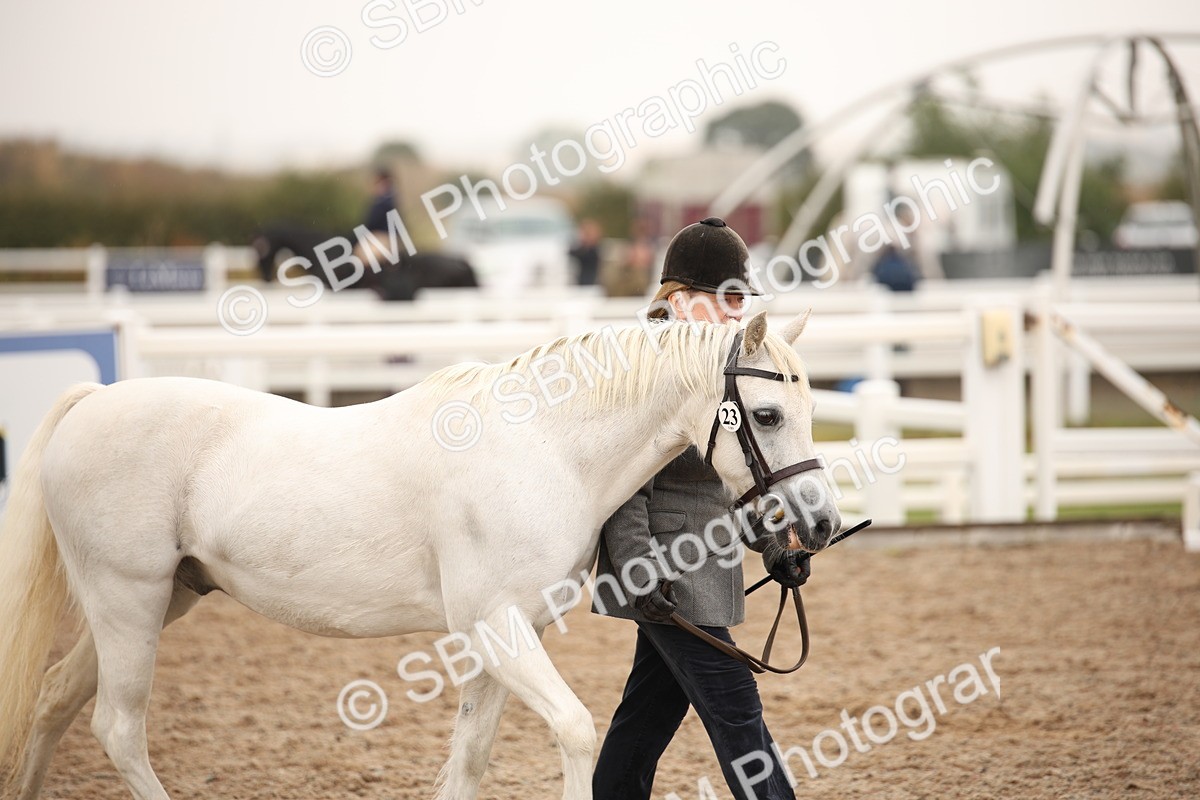 SBM_20724 - Class 705 - IH  Combination 65+