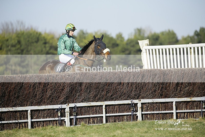 PtP 270222 270 - South & West Wilts Point-to-Point Larkhill 27/02/22