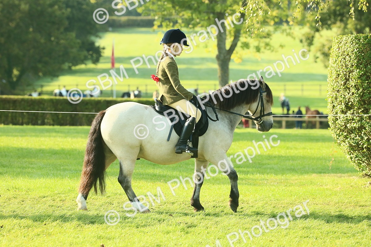 SBM_59122 - S38 - Starters Ridden Showing